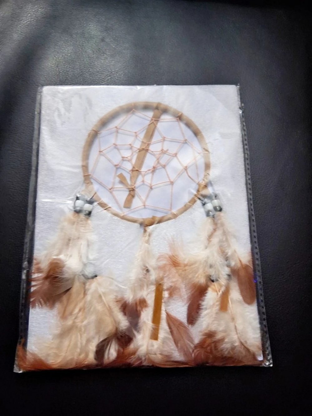 Legend of the Dreamcatcher Decor in Brown & White NWT
